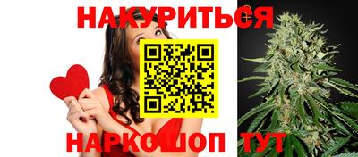 индика Аша