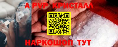 a pvp Ачхой-Мартан