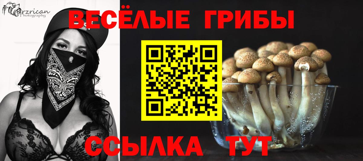 Псилоцибиновые грибы Psilocybe  Вход с VPN  Псилоцибиновые грибы мицелий  Джанкой 